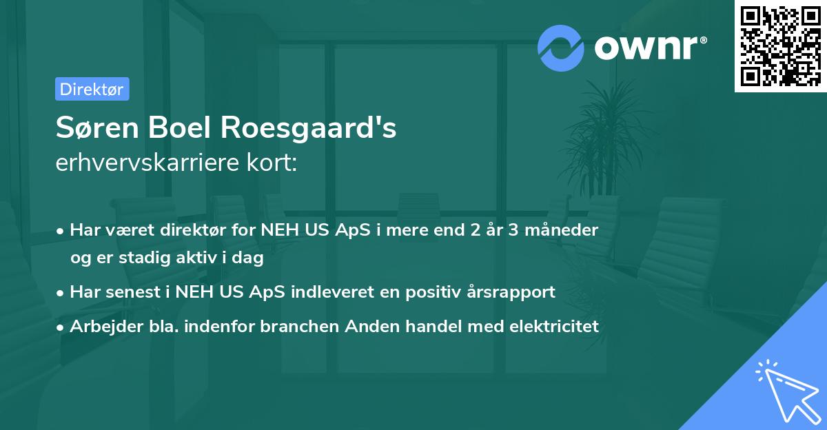 Søren Boel Roesgaard's erhvervskarriere kort