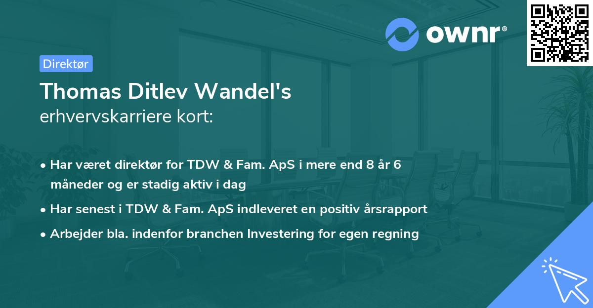 Thomas Ditlev Wandel's erhvervskarriere kort