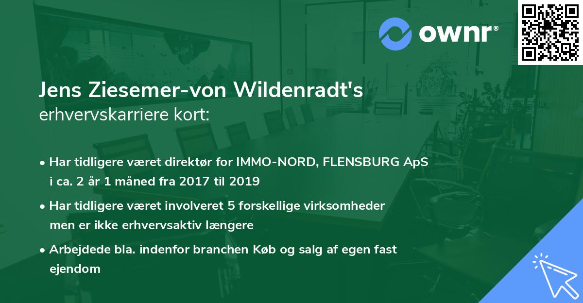 Jens Ziesemer-von Wildenradt's erhvervskarriere kort