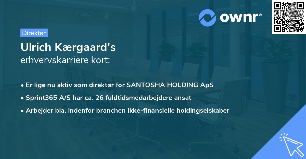 Ulrich Kærgaard's erhvervskarriere kort