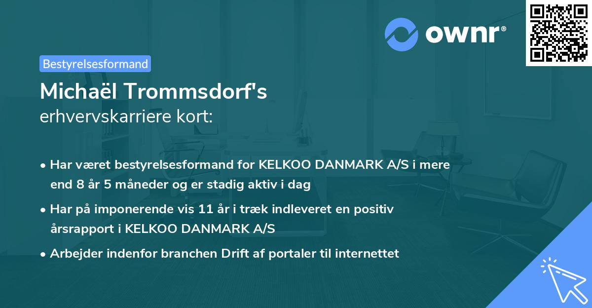 Michaël Trommsdorf's erhvervskarriere kort