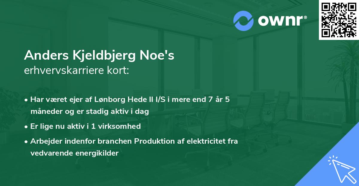 Anders Kjeldbjerg Noe's erhvervskarriere kort