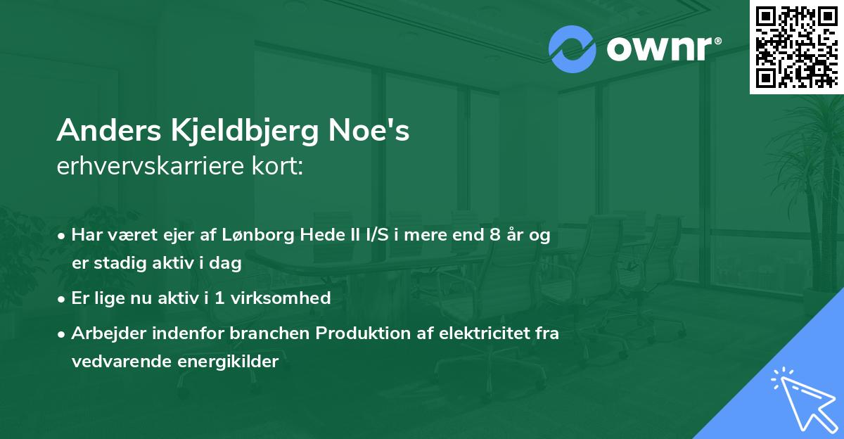 Anders Kjeldbjerg Noe's erhvervskarriere kort