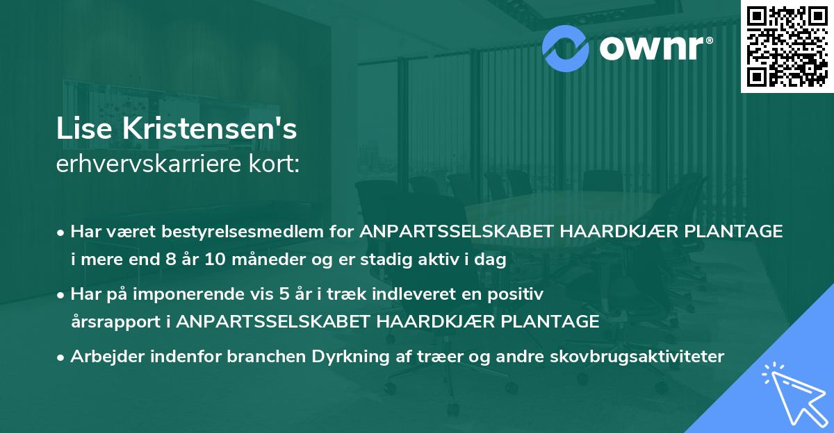 Lise Kristensen's erhvervskarriere kort