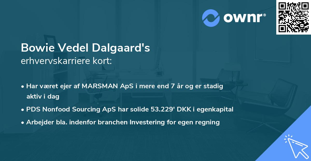 Bowie Vedel Dalgaard's erhvervskarriere kort