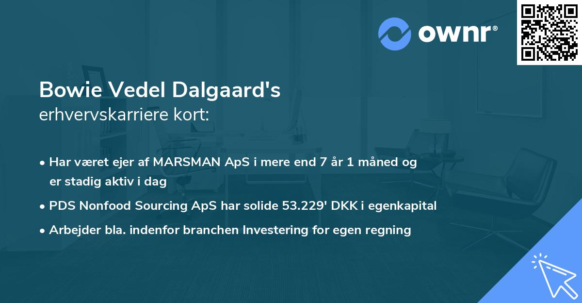 Bowie Vedel Dalgaard's erhvervskarriere kort