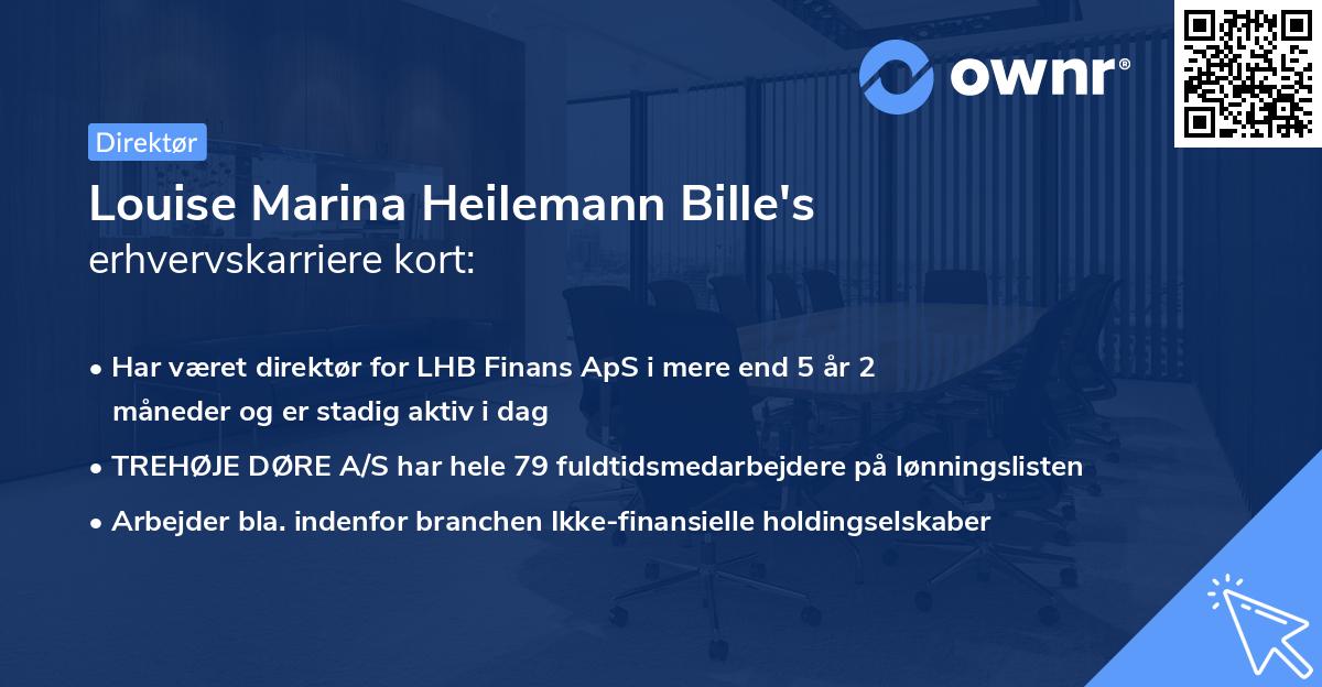 Louise Marina Heilemann Bille's erhvervskarriere kort