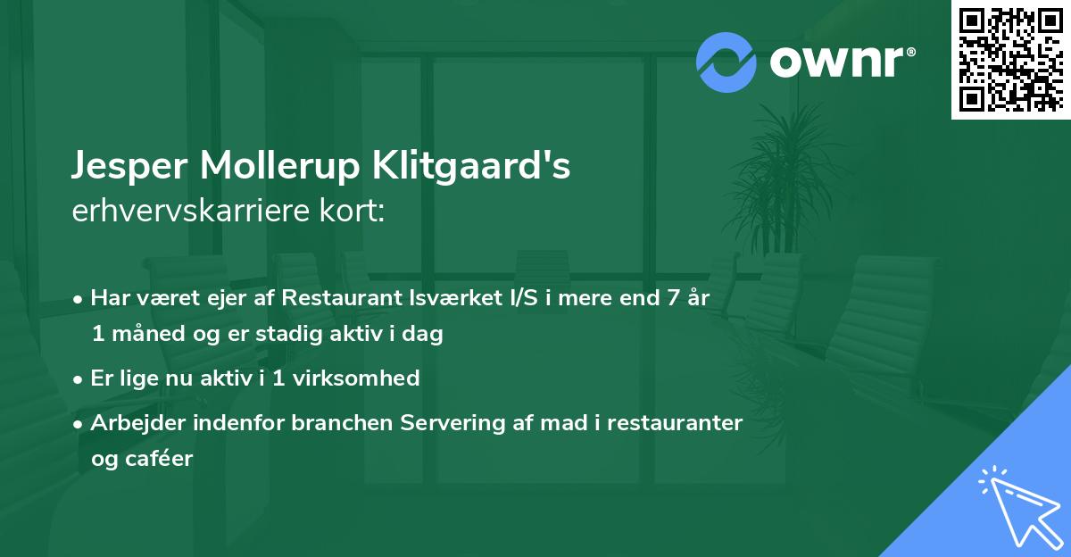 Jesper Mollerup Klitgaard's erhvervskarriere kort