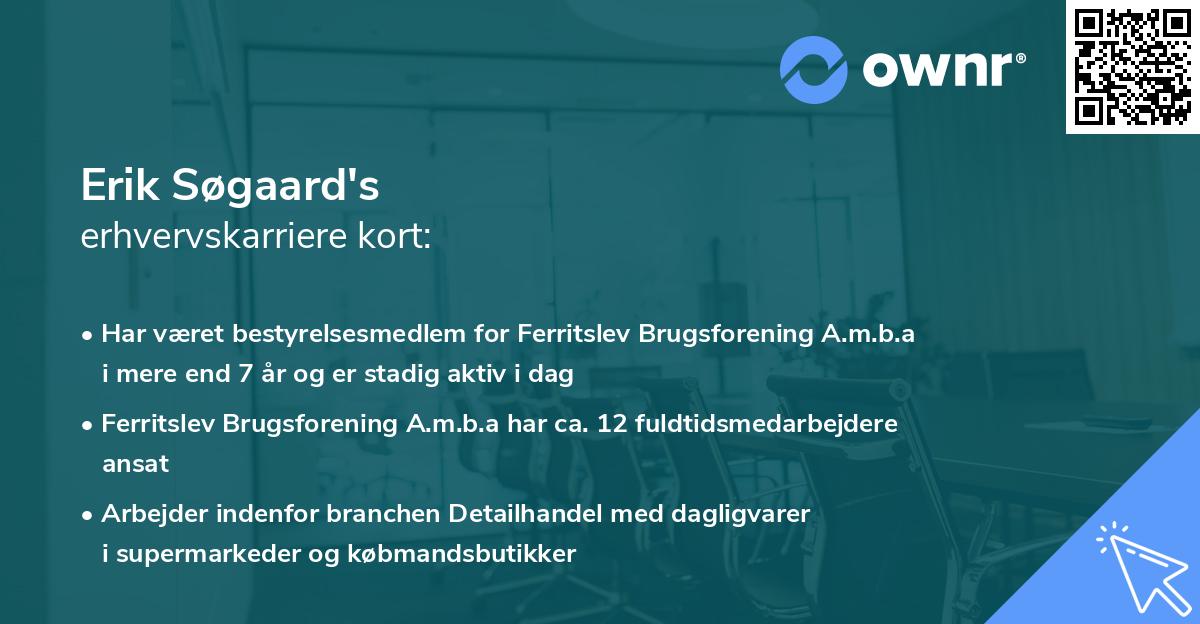 Erik Søgaard's erhvervskarriere kort