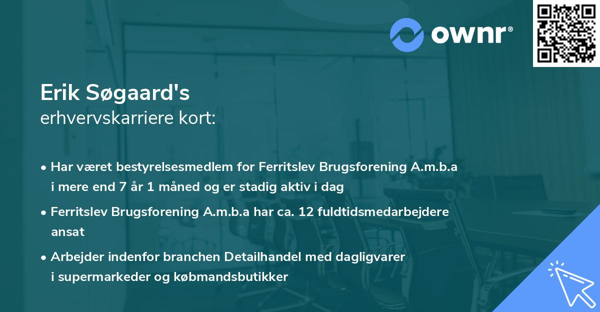 Erik Søgaard's erhvervskarriere kort