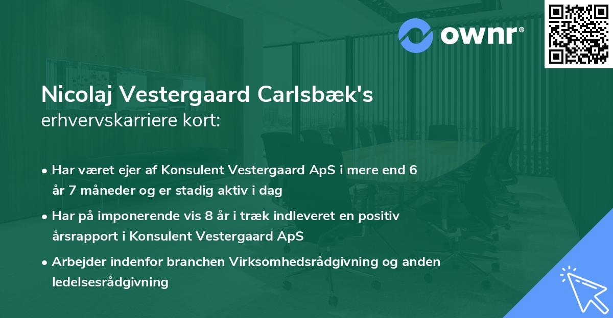 Nicolaj Vestergaard Carlsbæk's erhvervskarriere kort