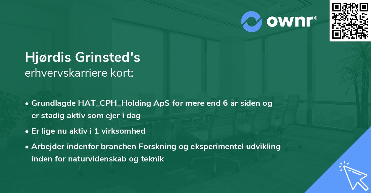 Hjørdis Grinsted's erhvervskarriere kort