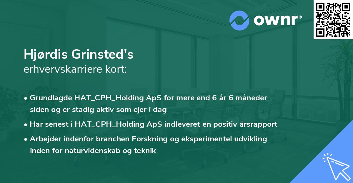 Hjørdis Grinsted's erhvervskarriere kort