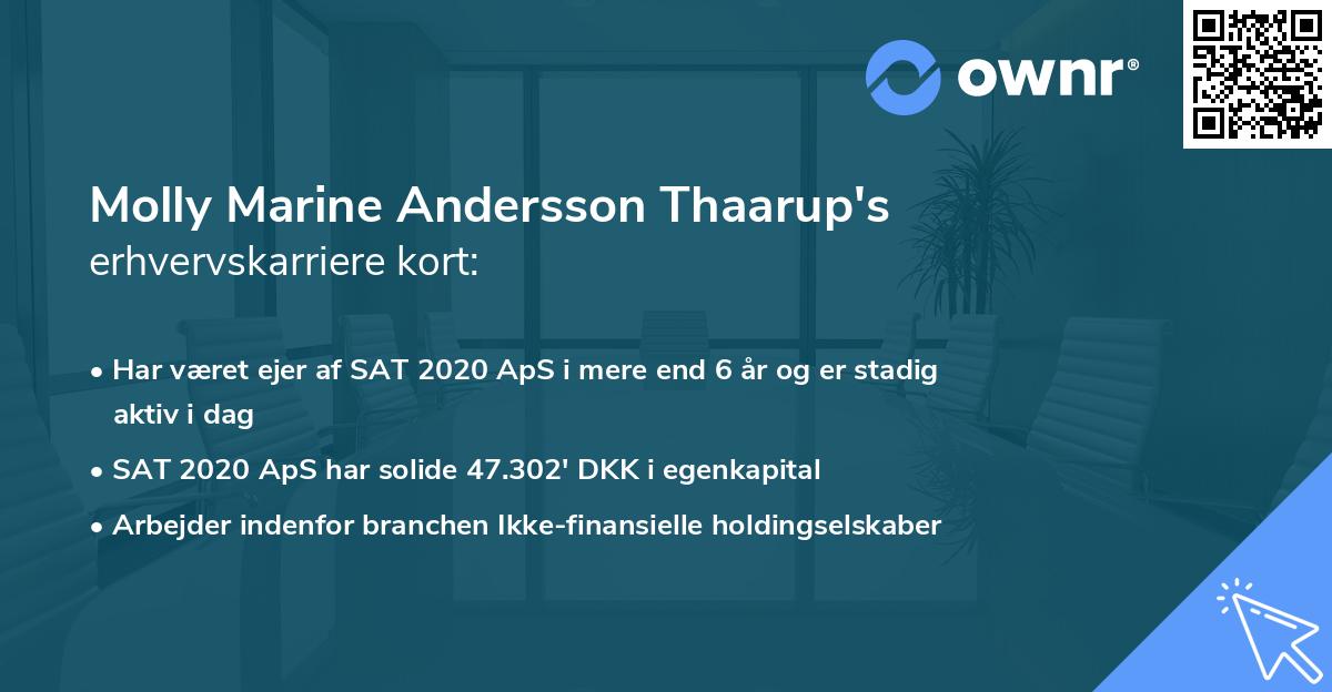 Molly Marine Andersson Thaarup's erhvervskarriere kort