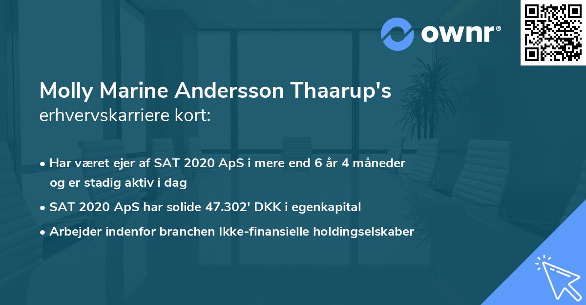 Molly Marine Andersson Thaarup's erhvervskarriere kort