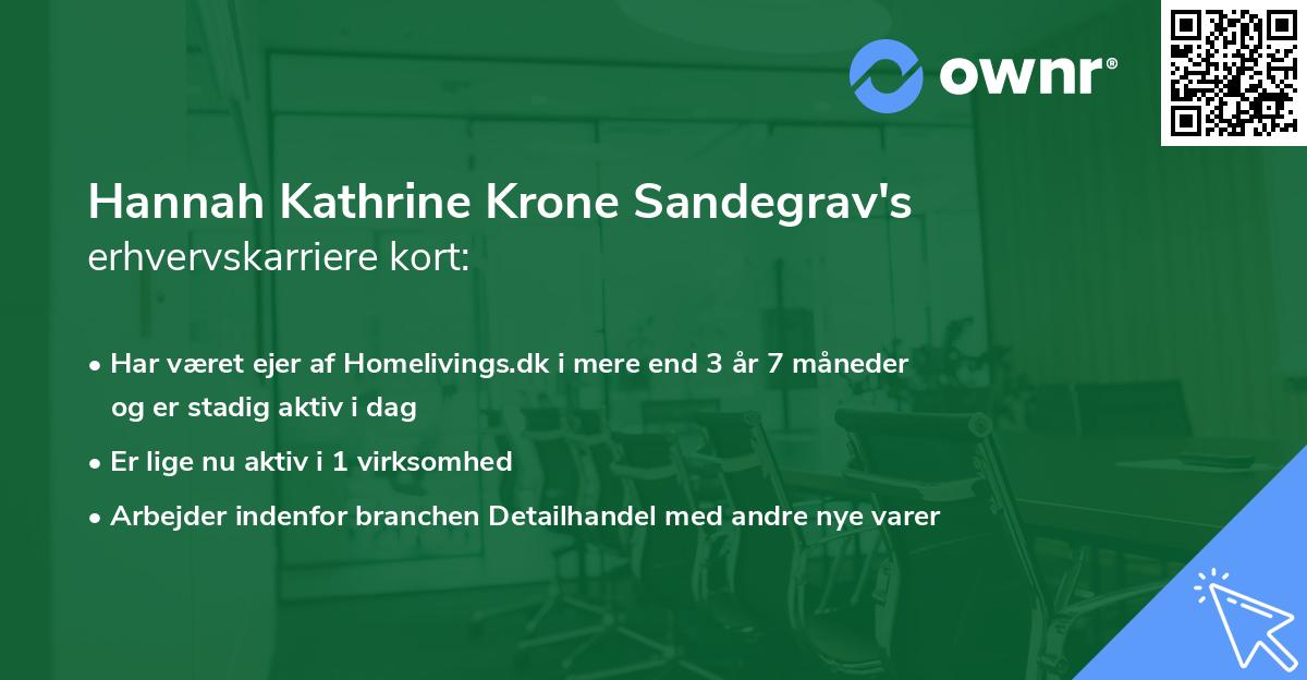 Hannah Kathrine Krone Sandegrav's erhvervskarriere kort