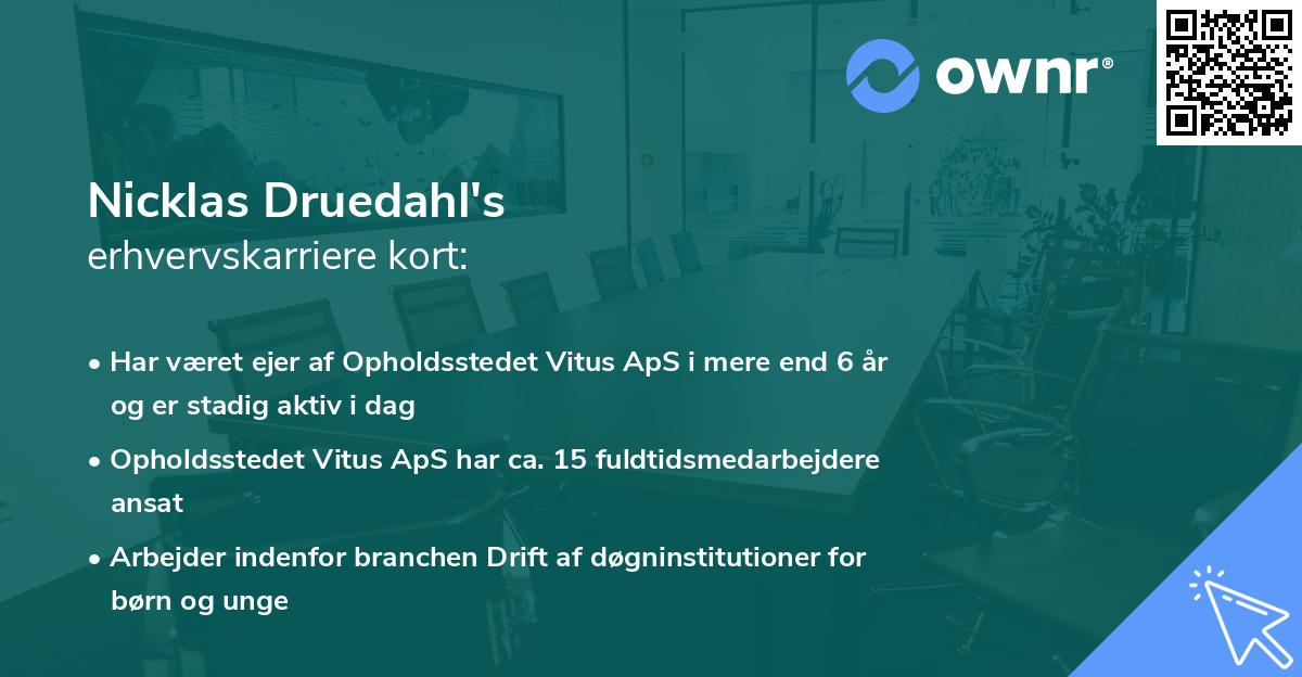 Nicklas Druedahl's erhvervskarriere kort