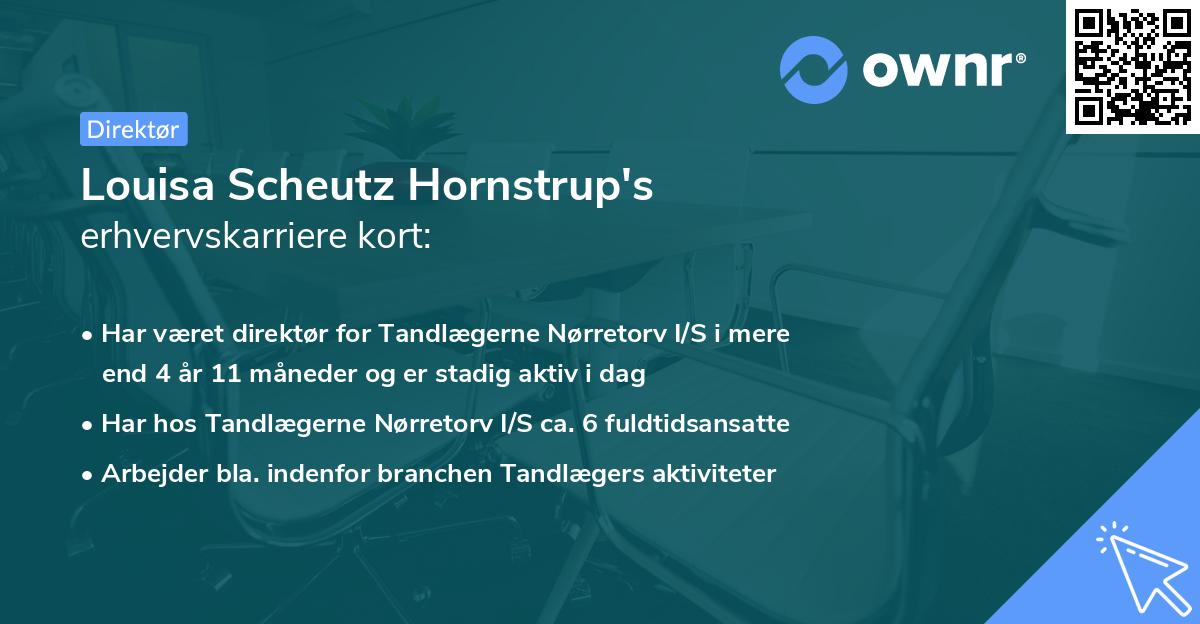 Louisa Scheutz Hornstrup's erhvervskarriere kort