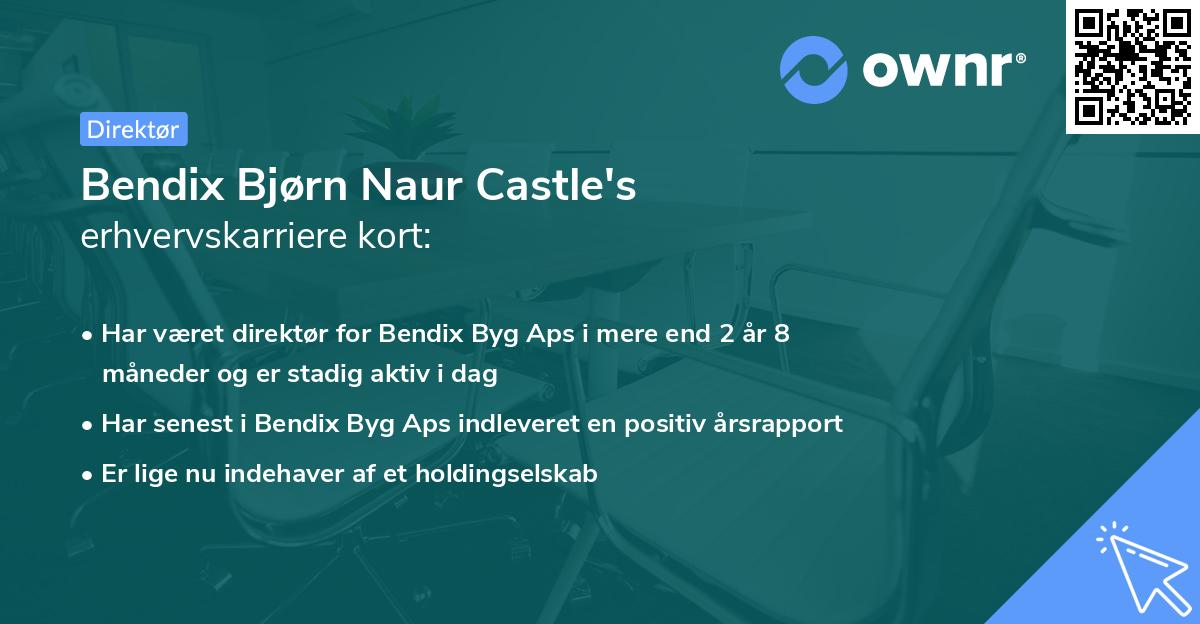 Bendix Bjørn Naur Castle's erhvervskarriere kort