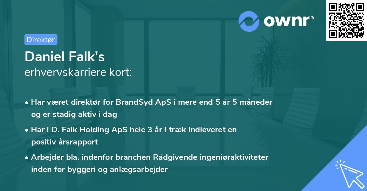 Daniel Falk's erhvervskarriere kort