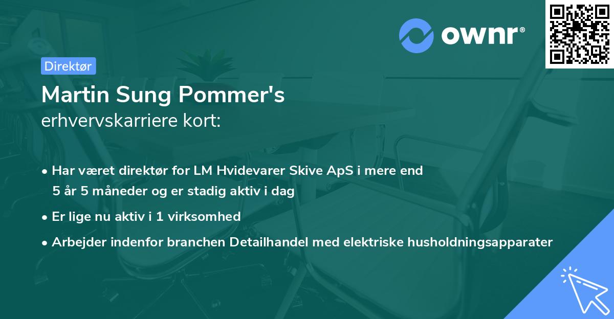 Martin Sung Pommer's erhvervskarriere kort