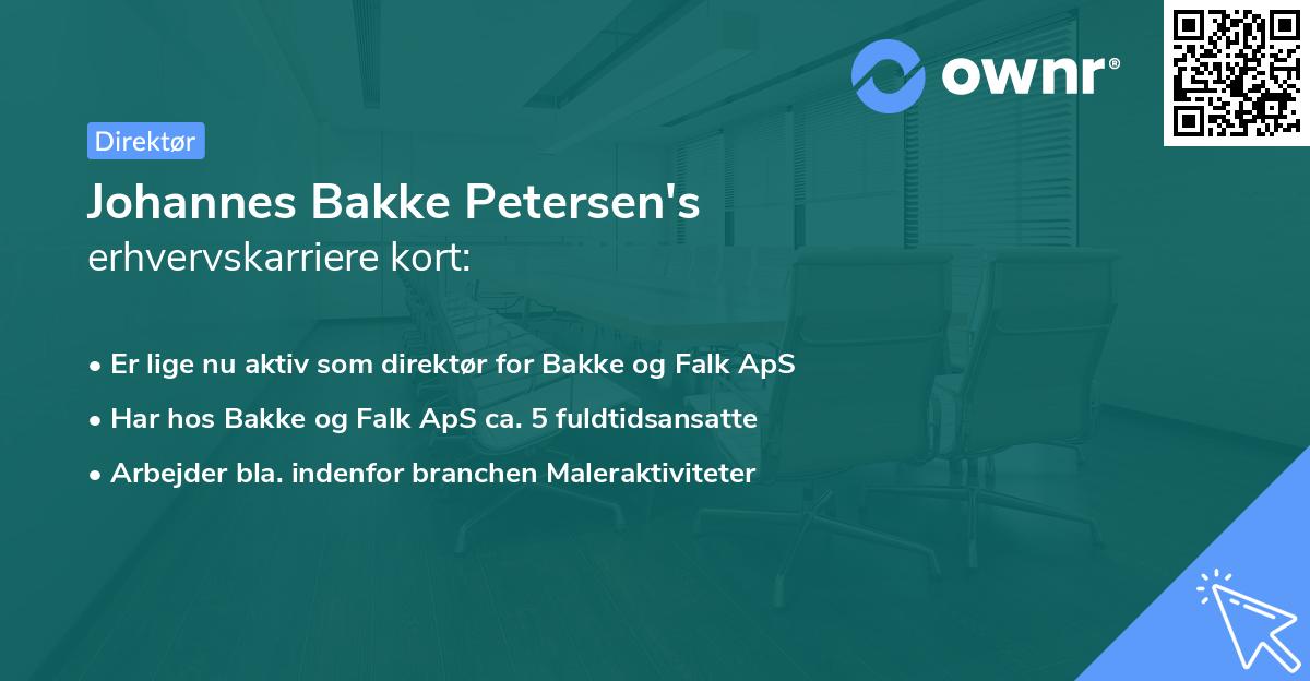 Johannes Bakke Petersen's erhvervskarriere kort