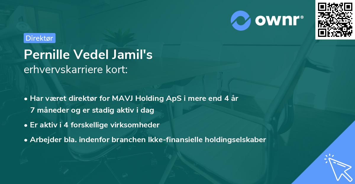 Pernille Vedel Jamil's erhvervskarriere kort
