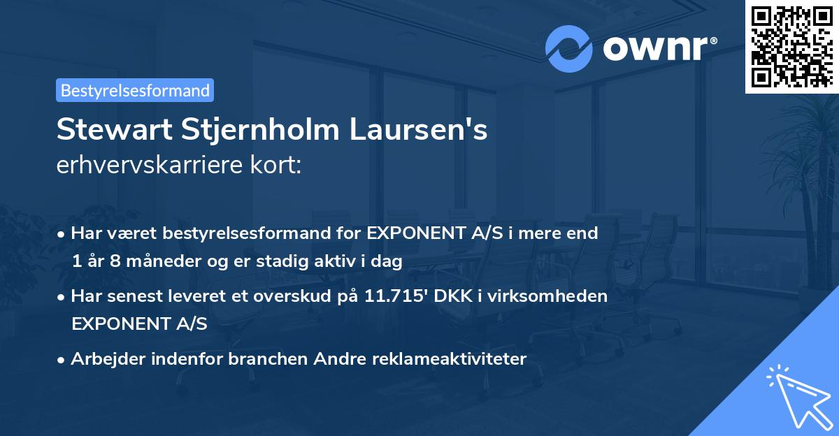 Stewart Stjernholm Laursen's erhvervskarriere kort