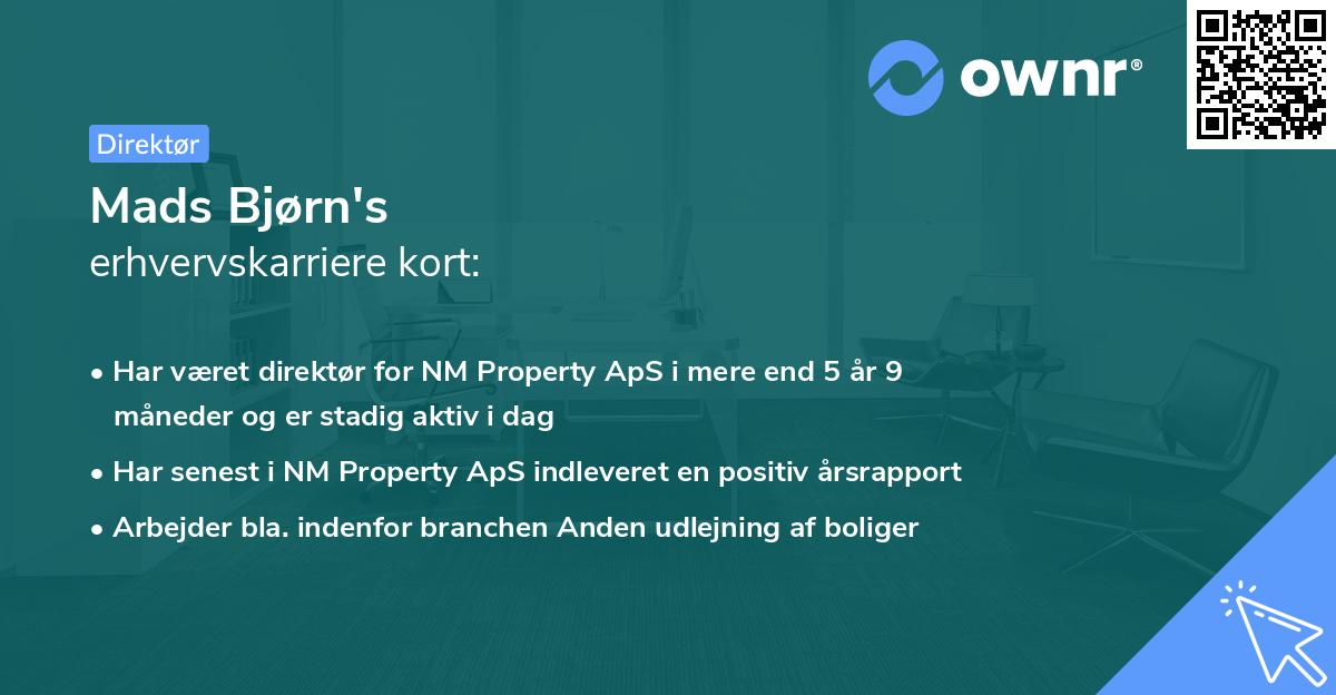 Mads Bjørn's erhvervskarriere kort