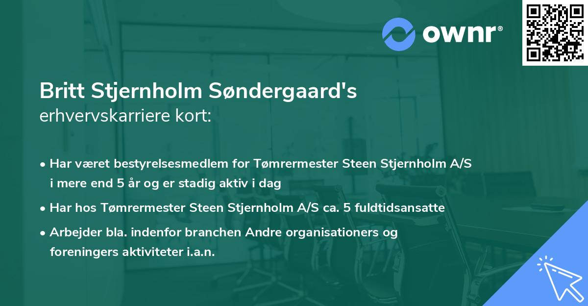 Britt Stjernholm Søndergaard's erhvervskarriere kort