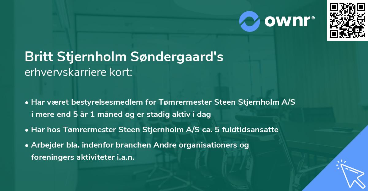 Britt Stjernholm Søndergaard's erhvervskarriere kort