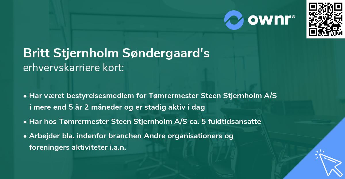 Britt Stjernholm Søndergaard's erhvervskarriere kort
