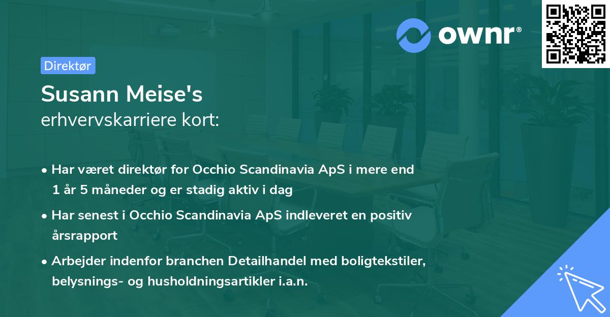 Susann Meise's erhvervskarriere kort