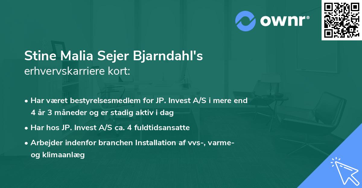 Stine Malia Sejer Bjarndahl's erhvervskarriere kort