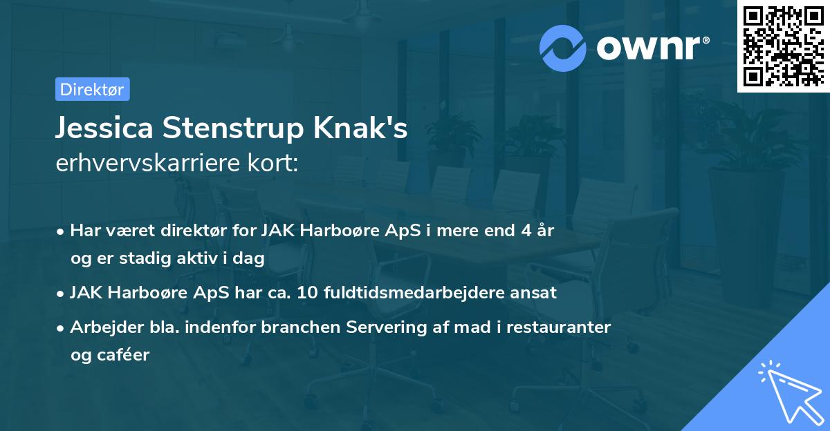 Jessica Stenstrup Knak's erhvervskarriere kort