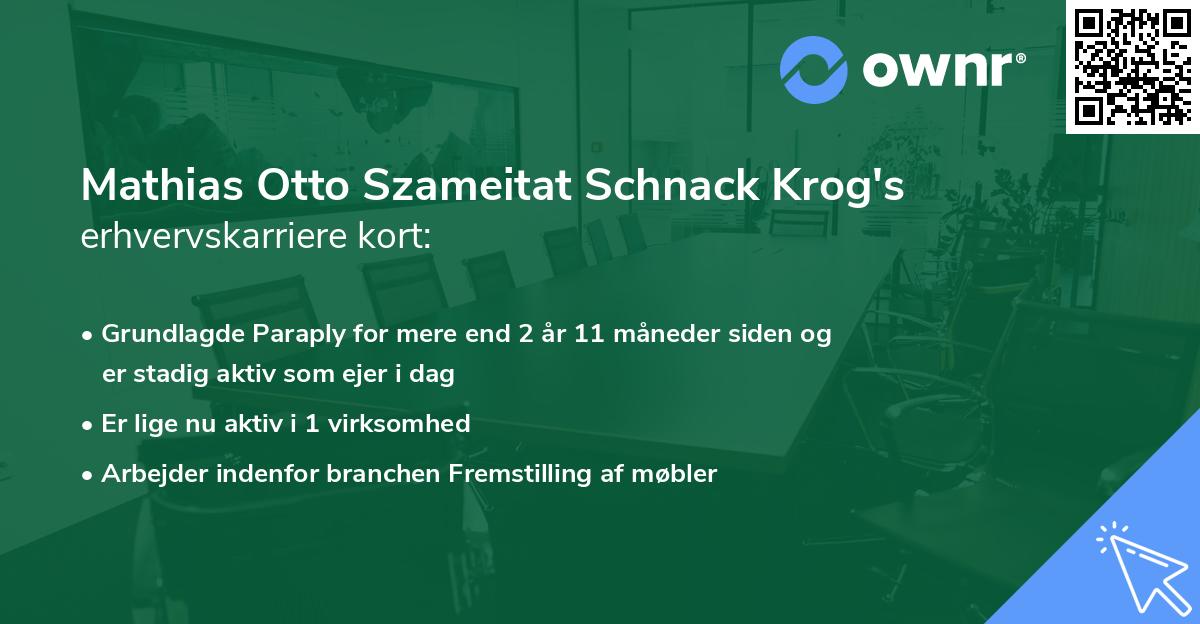 Mathias Otto Szameitat Schnack Krog's erhvervskarriere kort