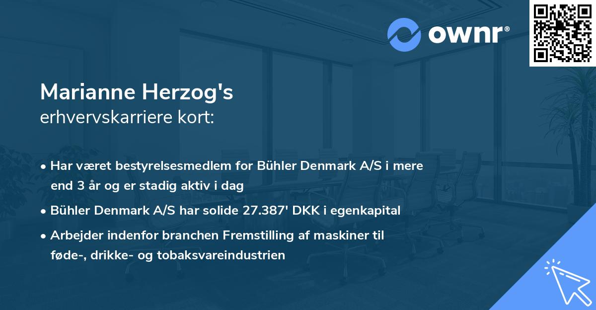Marianne Herzog's erhvervskarriere kort