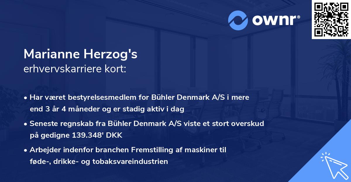 Marianne Herzog's erhvervskarriere kort
