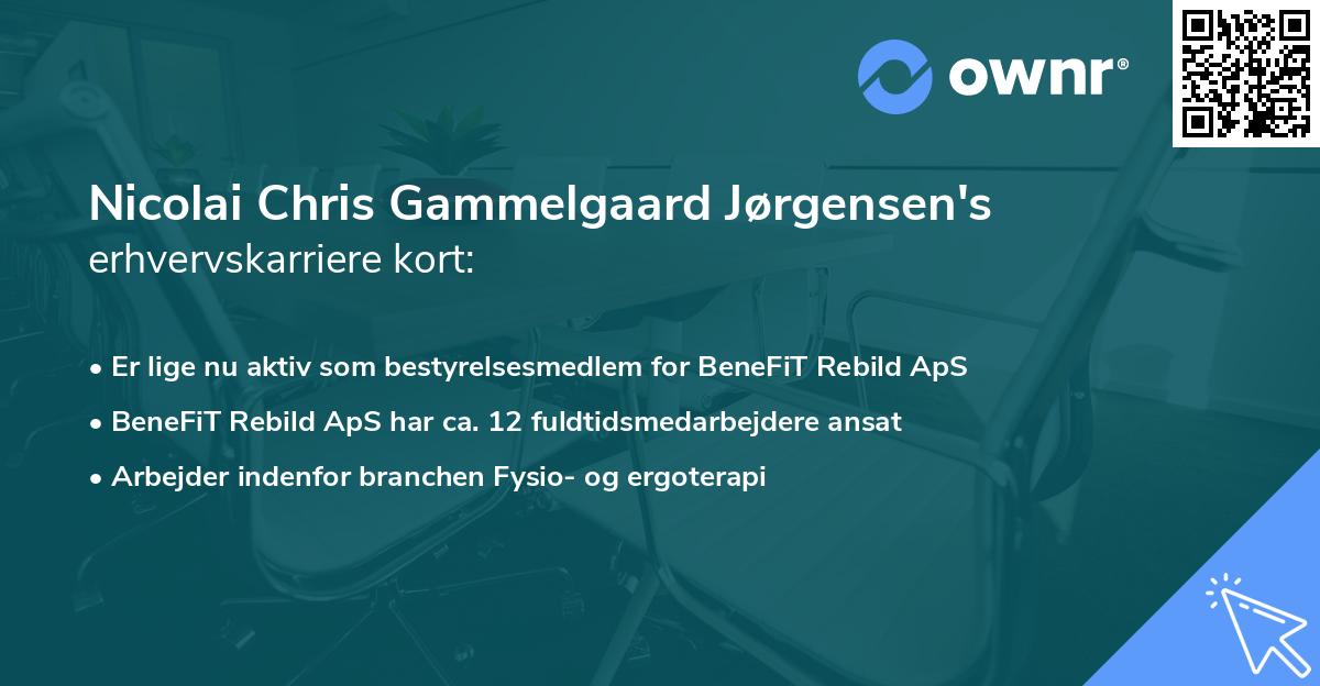 Nicolai Chris Gammelgaard Jørgensen's erhvervskarriere kort