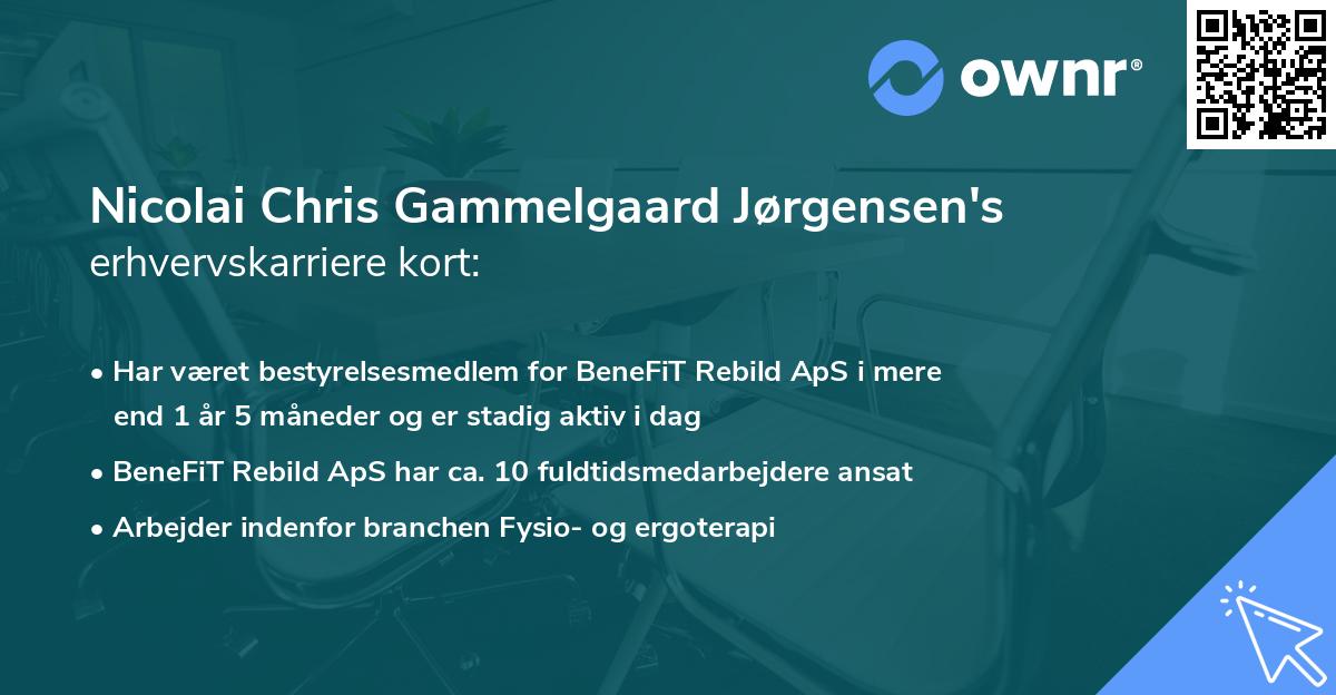 Nicolai Chris Gammelgaard Jørgensen's erhvervskarriere kort