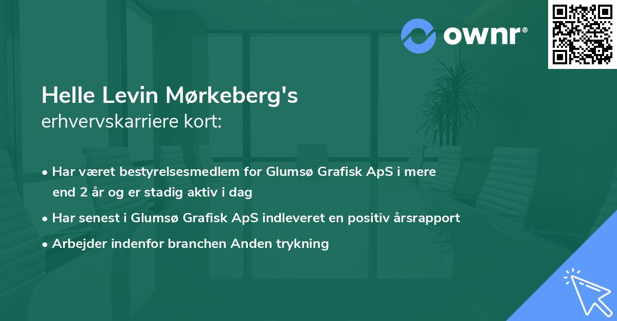 Helle Levin Mørkeberg's erhvervskarriere kort