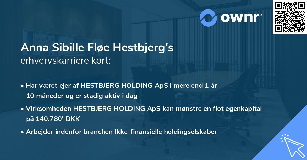 Anna Sibille Fløe Hestbjerg's erhvervskarriere kort