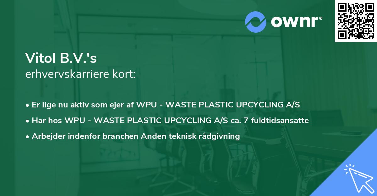 Vitol B.V.'s erhvervskarriere kort