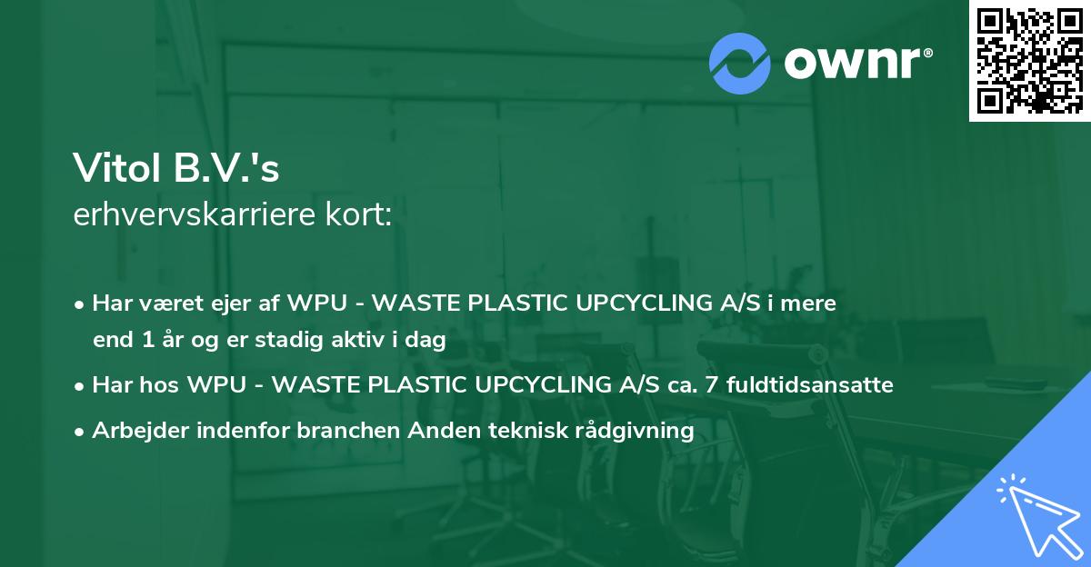 Vitol B.V.'s erhvervskarriere kort