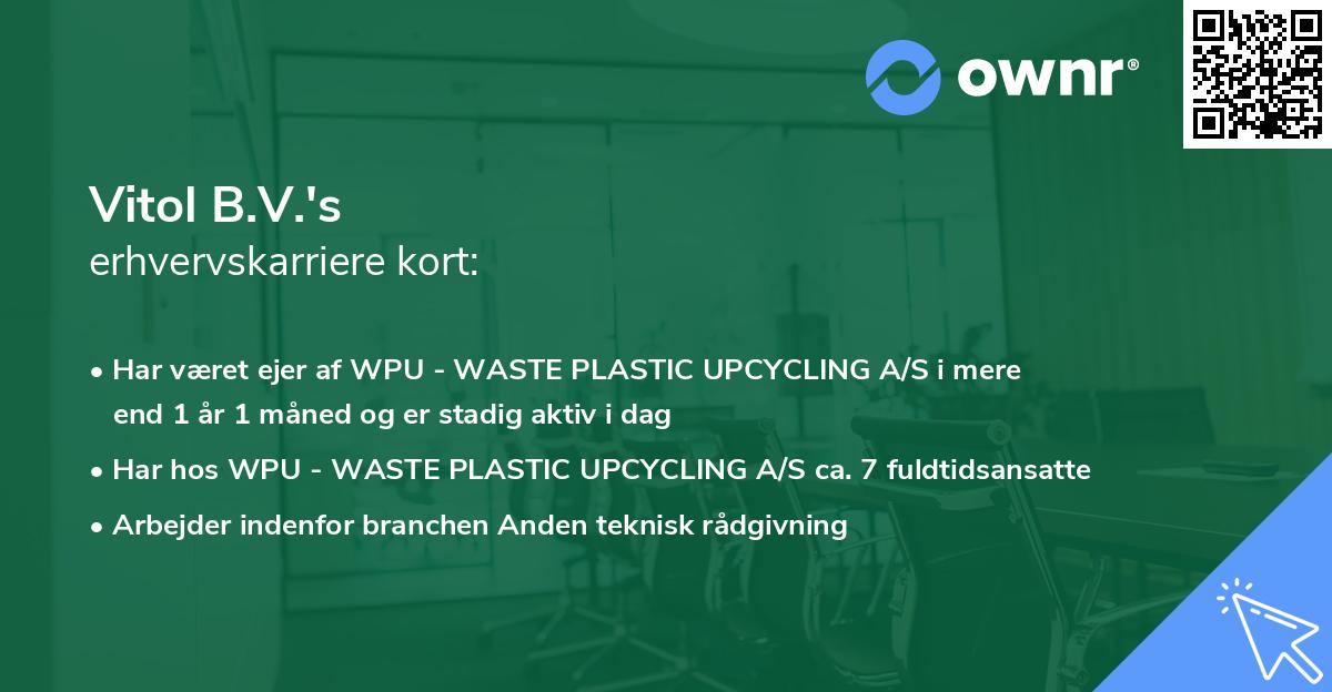 Vitol B.V.'s erhvervskarriere kort