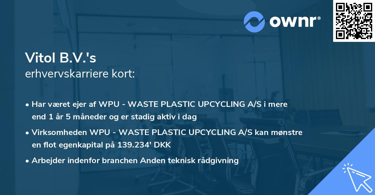 Vitol B.V.'s erhvervskarriere kort