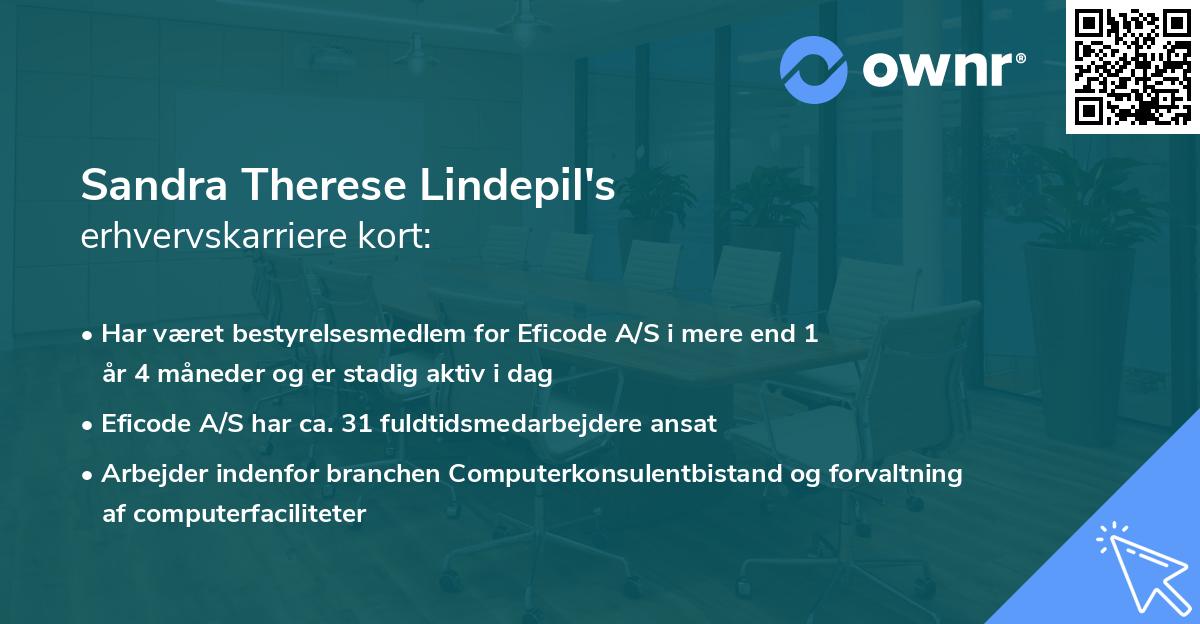 Sandra Therese Lindepil's erhvervskarriere kort