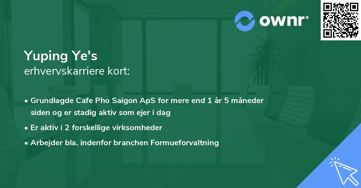 Yuping Ye's erhvervskarriere kort