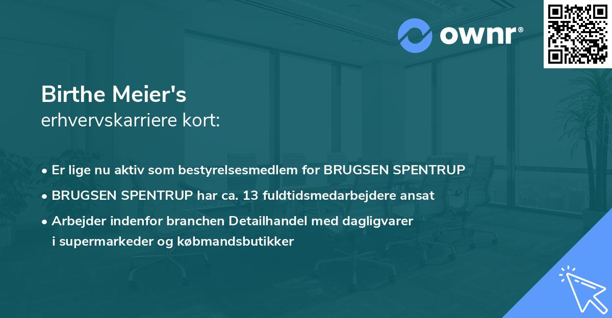 Birthe Meier's erhvervskarriere kort
