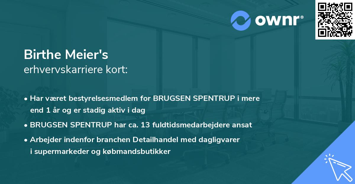 Birthe Meier's erhvervskarriere kort